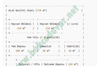 Büyük Baş Besihane